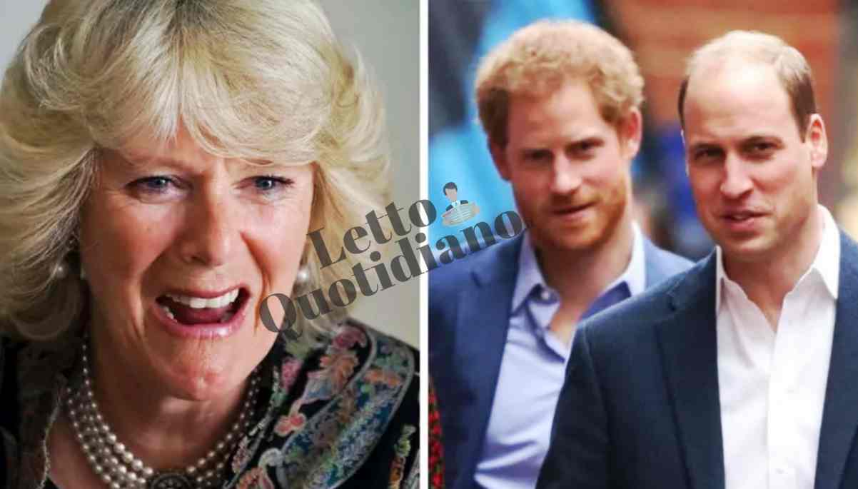 Camila Parker, la reazione di Harry e William alla morte di Diana