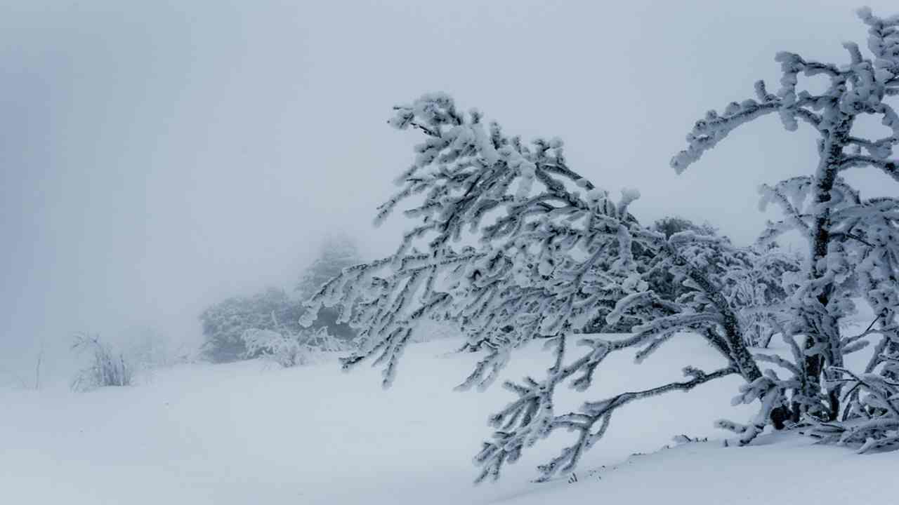 Meteo, neve in arrivo