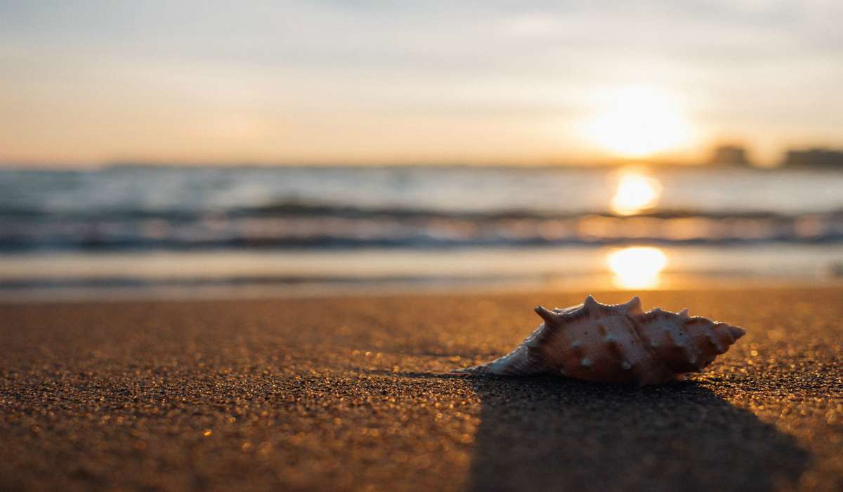 spiagge sparirà