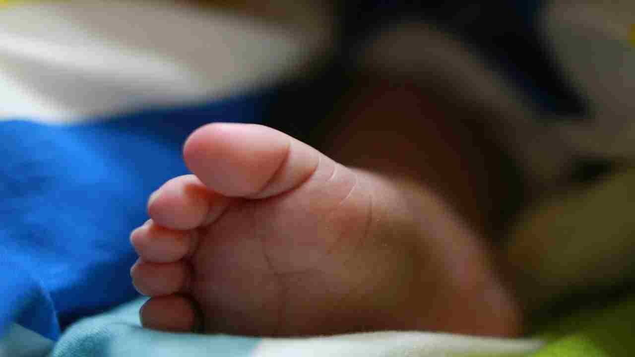 Bambino di tre anni scomparso nel Vajont: ritrovato Mattia da due volontari