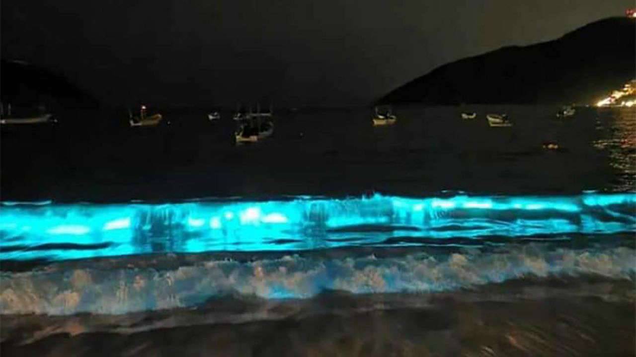 spiaggia bioluminescente acapulco