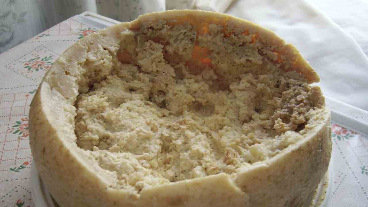 Casu Marzu formaggio