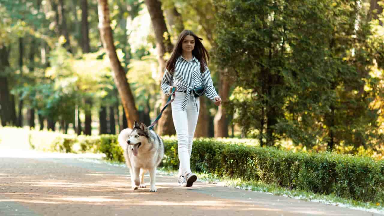 Walking, young woman walking the dog 