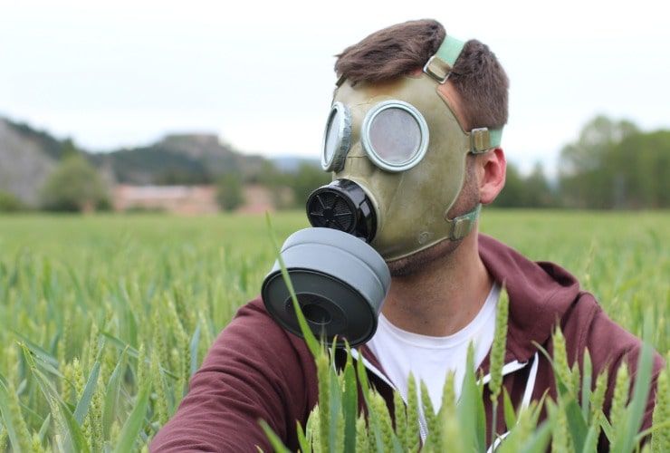 Maschera antigas, pesticidi sul grano